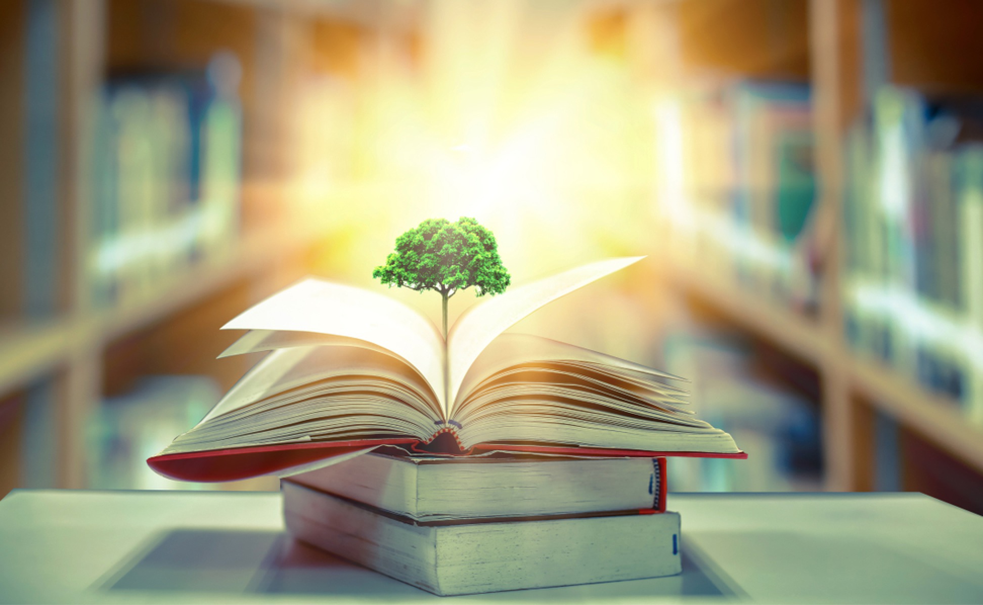 CommToZero lanceert zijn Sustainability Academy